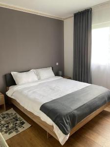 Apartament Cristian