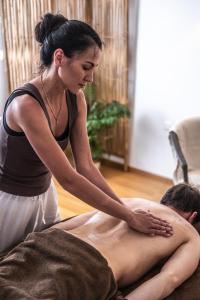 B&B / Chambres d'hotes Maison Tournesol Massages Pau Jurancon : photos des chambres