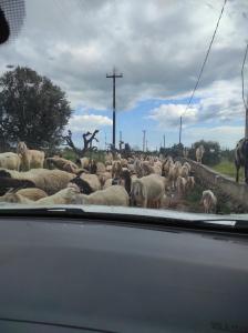 Trullo Contrada Stracca