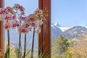 Grand chalet rustique à Gryon, avec vue et cheminée
