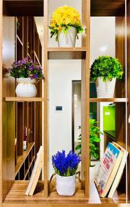 Căn hộ tiện nghi tại 214 Phú Diễn