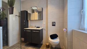 Appartements Cote Chateaux au Centre Alsace : photos des chambres