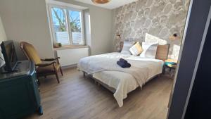 Appartements Cote Chateaux au Centre Alsace : photos des chambres