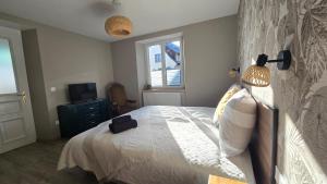 Appartements Cote Chateaux au Centre Alsace : photos des chambres