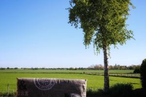 Ferienwohnung Albert