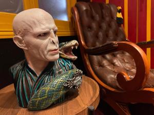 Appartements Harry-Potter : photos des chambres