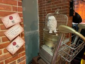Appartements Harry-Potter : photos des chambres
