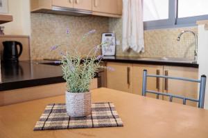 Modern Studios in the Heart of Filiatra with Private Balconies