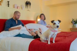 Hotels Hotel Indigo Bordeaux Centre Chartrons by IHG : photos des chambres