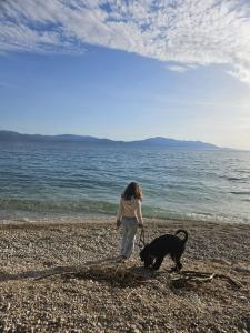 Apartments Nina Brist