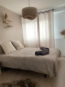 Appartements Appartement T2 et Parking Annecy : photos des chambres