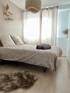 Appartements Appartement T2 et Parking Annecy : Appartement 1 Chambre