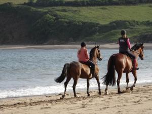 The Sandcastle. Private steps onto a sandy beach
