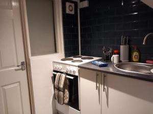 Cosy 2 Bedrooms flat in Newport - F2