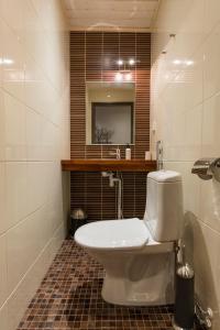 Isokarhu 1 Visit Levi