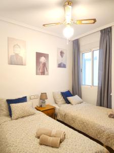 Lucy apartments