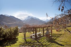 Verger Plein Soleil di Piero