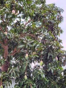 KS Quảng Trường Mỹ Tho