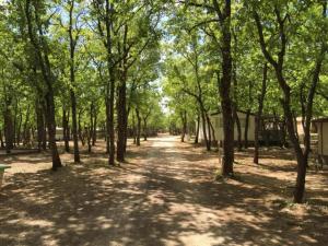 Maisons de vacances Villa in Provence with Private Pool : photos des chambres