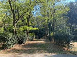 Maisons de vacances Villa in Provence with Private Pool : photos des chambres