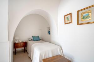 Il Vecchio Leccio