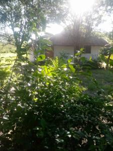 LIMAS Camp Mikumi