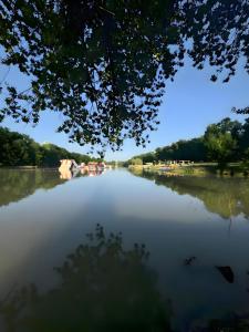 Maisons de vacances Chalets Camping Lacs d-Armagnac : photos des chambres