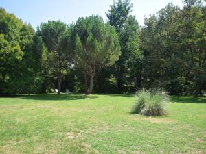 Maisons de vacances Lovely house with grass garden shared swimmingpool next to the river Ard che : photos des chambres