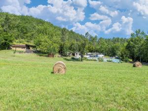 Maisons de vacances Tranquil Holiday Home in Soturac with pool : photos des chambres
