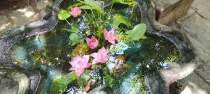 Illam Heritage inn Bungalow l 4 BHK