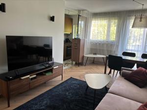 In the Heart of Wrocław Luxury Apartment
