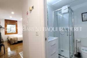 Apartarent 1500 - Estudio Àneu