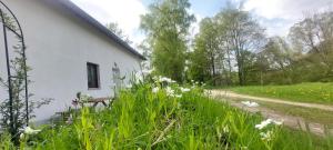 Kleine Ferienwohnung am Häufchen Höfchen