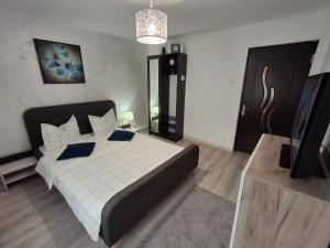 Criss Apartament Central