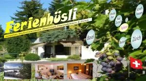 菲力胡思里公寓 - Kaiserstuhl