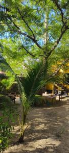 Elara Beach Home Stay