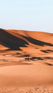 Merzouga Desert Camp