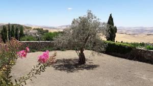 Donalegge al Castellazzo Tenuta Don Ruggero