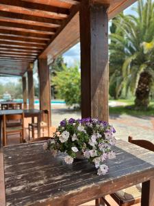 Apartment with Pool View