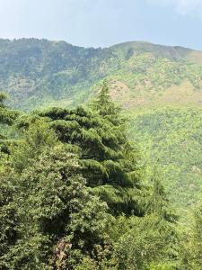 Secret garden homestay
