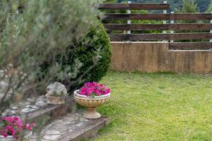 The Olympia Hillside Home