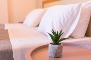 Garden Budget Rooms