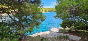 Villa with garden and private pool - Villa Alexandria