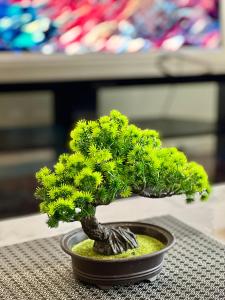 Spacious and cosy 2BR in Balwyn