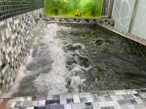 Ideal with a Jacuzzi, pool