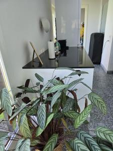 Paradise on the lake