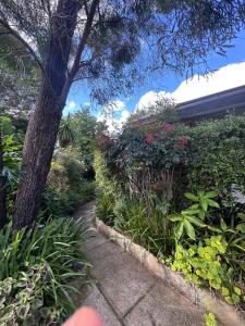 Single Room in Peaceful House with Garden - KV1