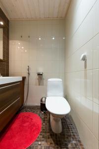 Isokarhu 2 Visit Levi