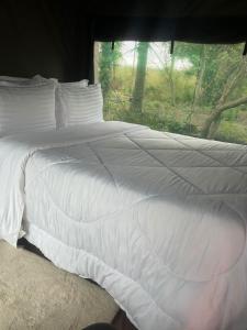 Royal South Luangwa Safaris Lodge