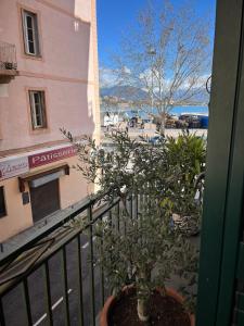 Appartement cœur de ville Ajaccio